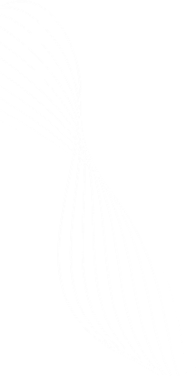 Hero Squiggle